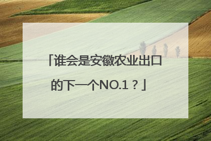 谁会是安徽农业出口的下一个NO.1？