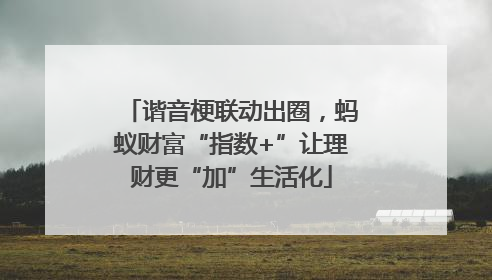 谐音梗联动出圈，蚂蚁财富“指数+”让理财更“加”生活化