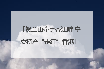 贺兰山牵手香江畔 宁夏特产“走红”香港