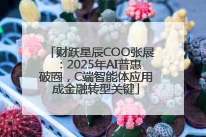 财跃星辰COO张展：2025年AI普惠破圈，C端智能体应用成金融转型关键