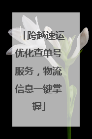跨越速运优化查单号服务，物流信息一键掌握
