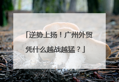 逆势上扬！广州外贸凭什么越战越猛？