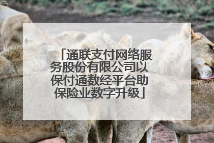 通联支付网络服务股份有限公司以保付通数经平台助保险业数字升级