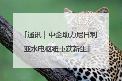 通讯｜中企助力尼日利亚水电枢纽重获新生