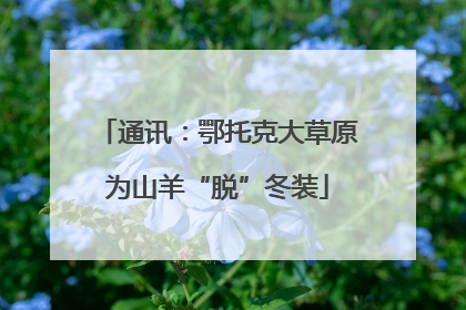 通讯：鄂托克大草原为山羊“脱”冬装