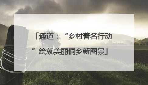 通道：“乡村著名行动”绘就美丽侗乡新图景