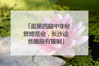 逛第四届中非经贸博览会，长沙这些路段有管制