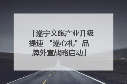 遂宁文旅产业升级提速 “遂心礼”品牌外宣战略启动
