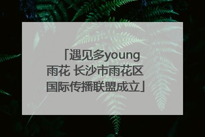 遇见多young雨花 长沙市雨花区国际传播联盟成立