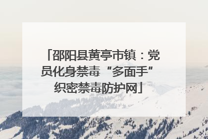 邵阳县黄亭市镇：党员化身禁毒“多面手” 织密禁毒防护网