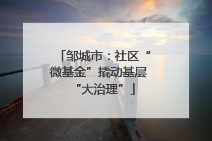 邹城市：社区“微基金”撬动基层“大治理”