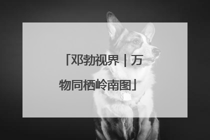 邓勃视界｜万物同栖岭南图