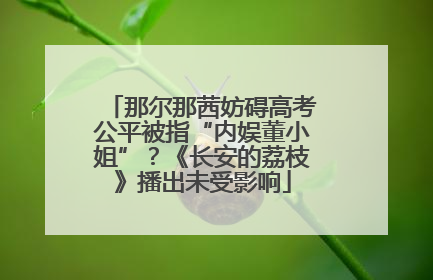 那尔那茜妨碍高考公平被指“内娱董小姐”？《长安的荔枝》播出未受影响