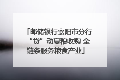 邮储银行襄阳市分行“贷”动夏粮收购 全链条服务粮食产业