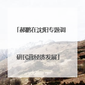 郝鹏在沈阳专题调研民营经济发展