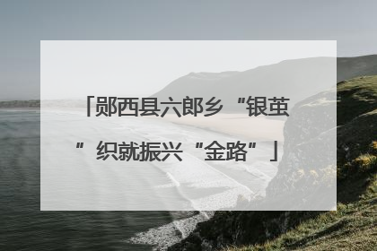 郧西县六郎乡“银茧”织就振兴“金路”