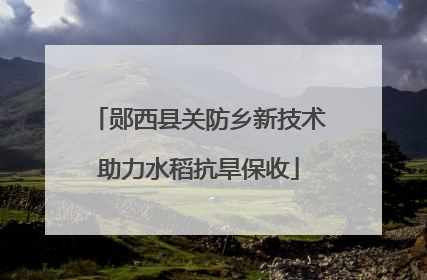 郧西县关防乡新技术助力水稻抗旱保收