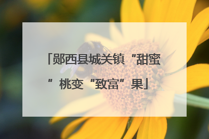 郧西县城关镇“甜蜜”桃变“致富”果