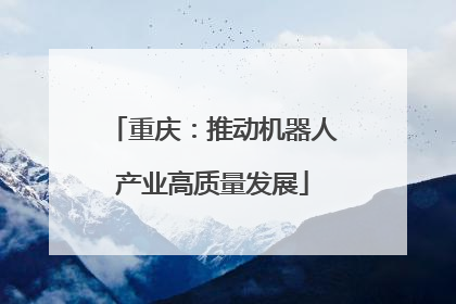 重庆：推动机器人产业高质量发展