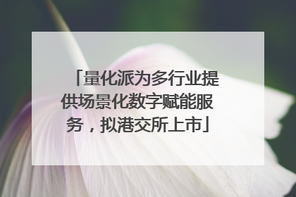 量化派为多行业提供场景化数字赋能服务，拟港交所上市