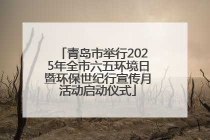 青岛市举行2025年全市六五环境日暨环保世纪行宣传月活动启动仪式