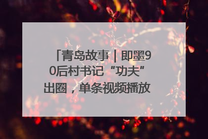 青岛故事｜即墨90后村书记“功夫”出圈，单条视频播放量过600万