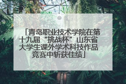 青岛职业技术学院在第十九届“挑战杯”山东省大学生课外学术科技作品竞赛中斩获佳绩