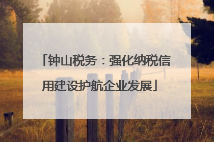 钟山税务：强化纳税信用建设护航企业发展