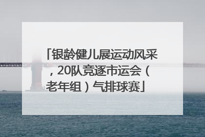 银龄健儿展运动风采，20队竞逐市运会（老年组）气排球赛