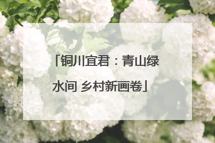 铜川宜君：青山绿水间 乡村新画卷