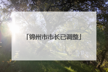 锦州市市长已调整