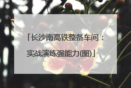 长沙南高铁整备车间：实战演练强能力(图)