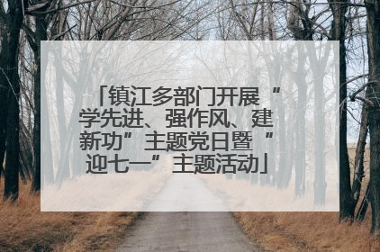 镇江多部门开展“学先进、强作风、建新功”主题党日暨“迎七一”主题活动