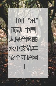 闻“汛”而动 中国太保产险丽水中支筑牢安全守护网