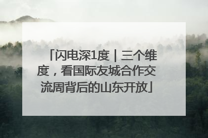 闪电深1度｜三个维度，看国际友城合作交流周背后的山东开放