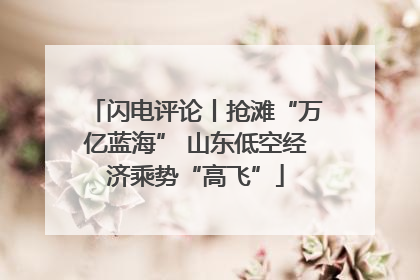 闪电评论丨抢滩“万亿蓝海” 山东低空经济乘势“高飞”