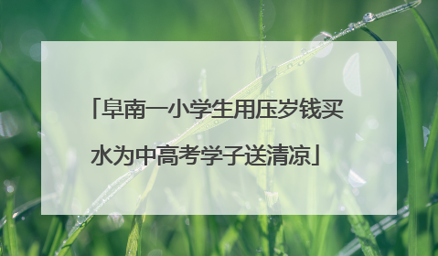 阜南一小学生用压岁钱买水为中高考学子送清凉