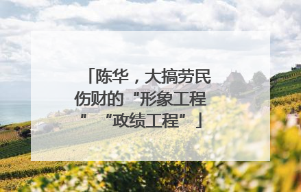 陈华，大搞劳民伤财的“形象工程”“政绩工程”