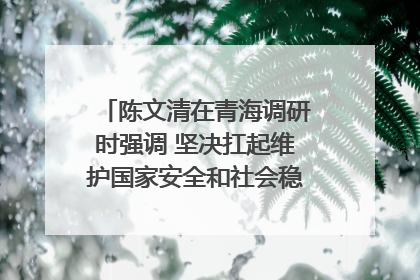 陈文清在青海调研时强调 坚决扛起维护国家安全和社会稳定职责使命 为谱写中国式现代化青海篇章贡献政法力量