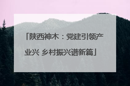陕西神木：党建引领产业兴 乡村振兴谱新篇