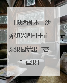 陕西神木：沙峁镇兴四村千亩杂果园结出“杏”福果