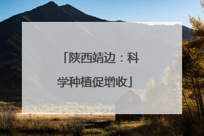 陕西靖边：科学种植促增收