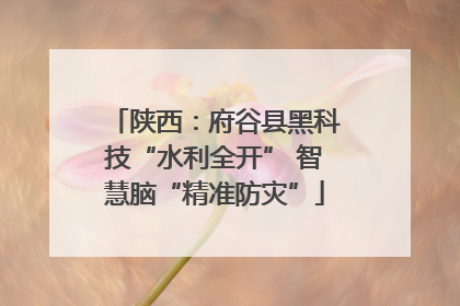 陕西：府谷县黑科技“水利全开” 智慧脑“精准防灾”
