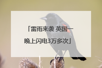 雷雨来袭 英国一晚上闪电3万多次