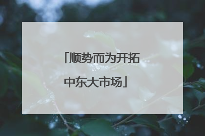 顺势而为开拓中东大市场