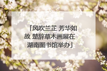 风吹兰芷 芳华如故 楚辞草木画展在湖南图书馆举办