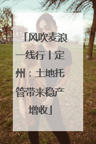 风吹麦浪一线行丨定州：土地托管带来稳产增收