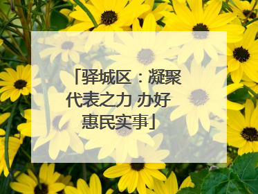 驿城区：凝聚代表之力 办好惠民实事