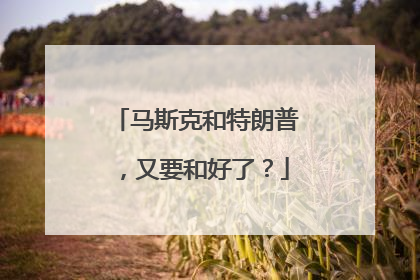 马斯克和特朗普，又要和好了？