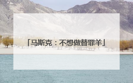 马斯克：不想做替罪羊